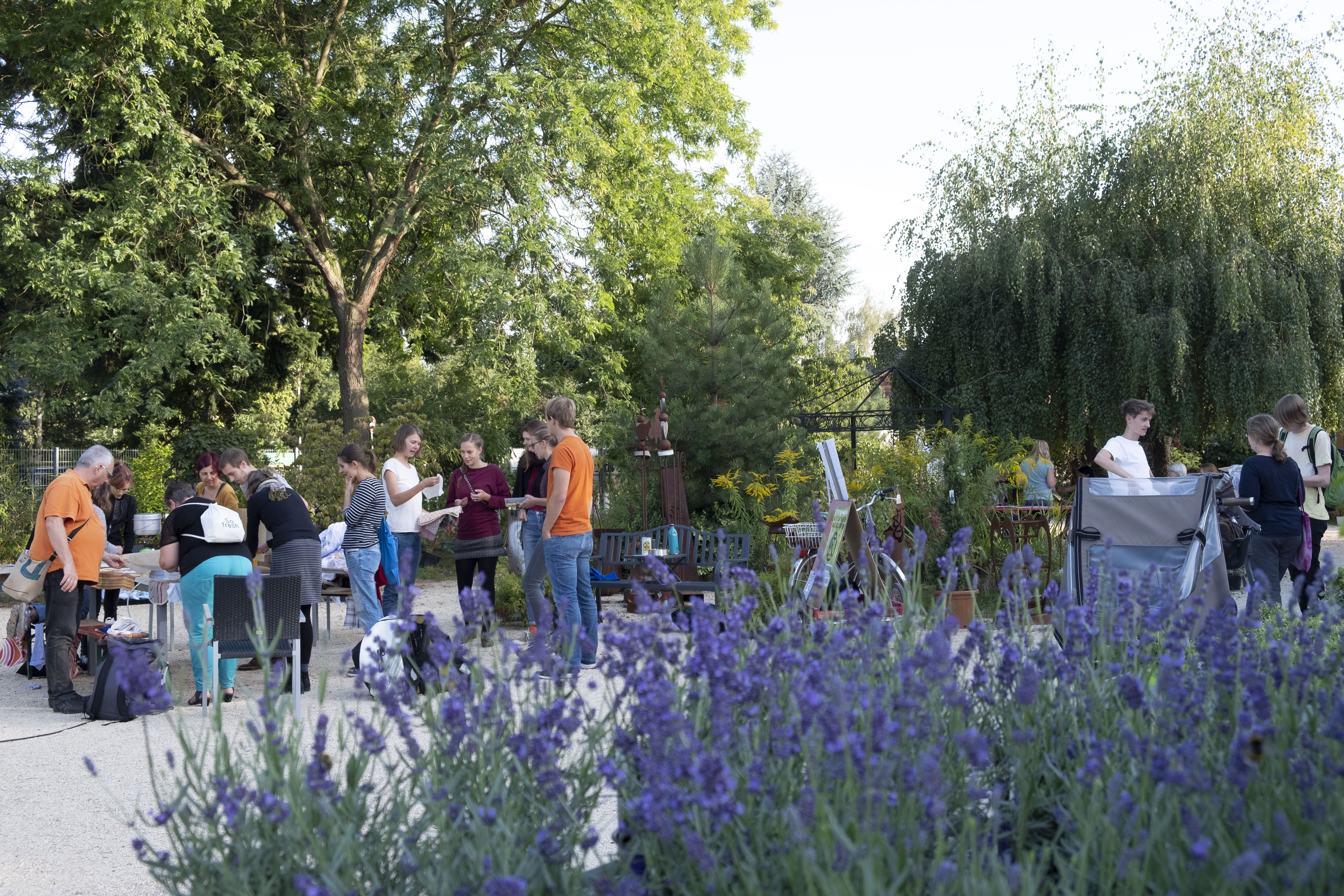 GartenTalk im wunderschönen Maulbeergarten GartenTalk im wunderschönen Maulbeergarten