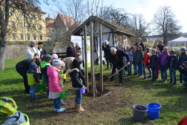 Baumpflanzaktion im Zeitzer Schlosspark März 17