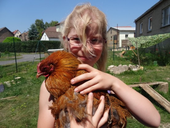 Bild 1: ein glückliches Huhn