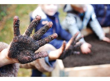 Projekt: Wildbienenbuffets für Grundschulen Projekt: Wildbienenbuffets für Grundschulen