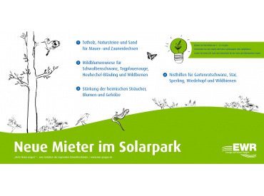 mehr Natur wagen im Solarpark in Osthofen mehr Natur wagen im Solarpark in Osthofen