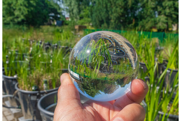 Nachhaltigkeit als Treiber der Forschung