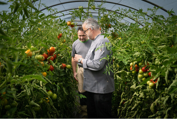 Gartenbauer Tino Söllner liefert 'grüne' Frische