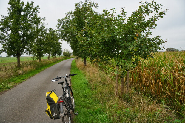 Obstalleen- und Streuobstwiesenradtour